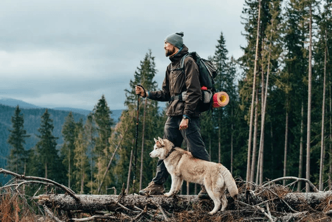 5 Tips for Hiking with Dogs - Rabbitgoo