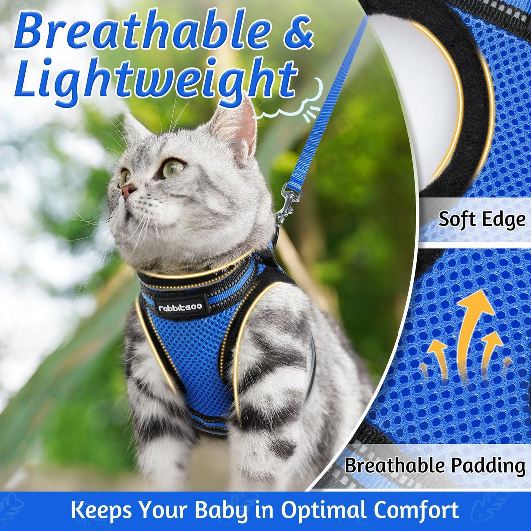 Rabbitgoo Escape Proof Cat Harness and Leash Set - Blue