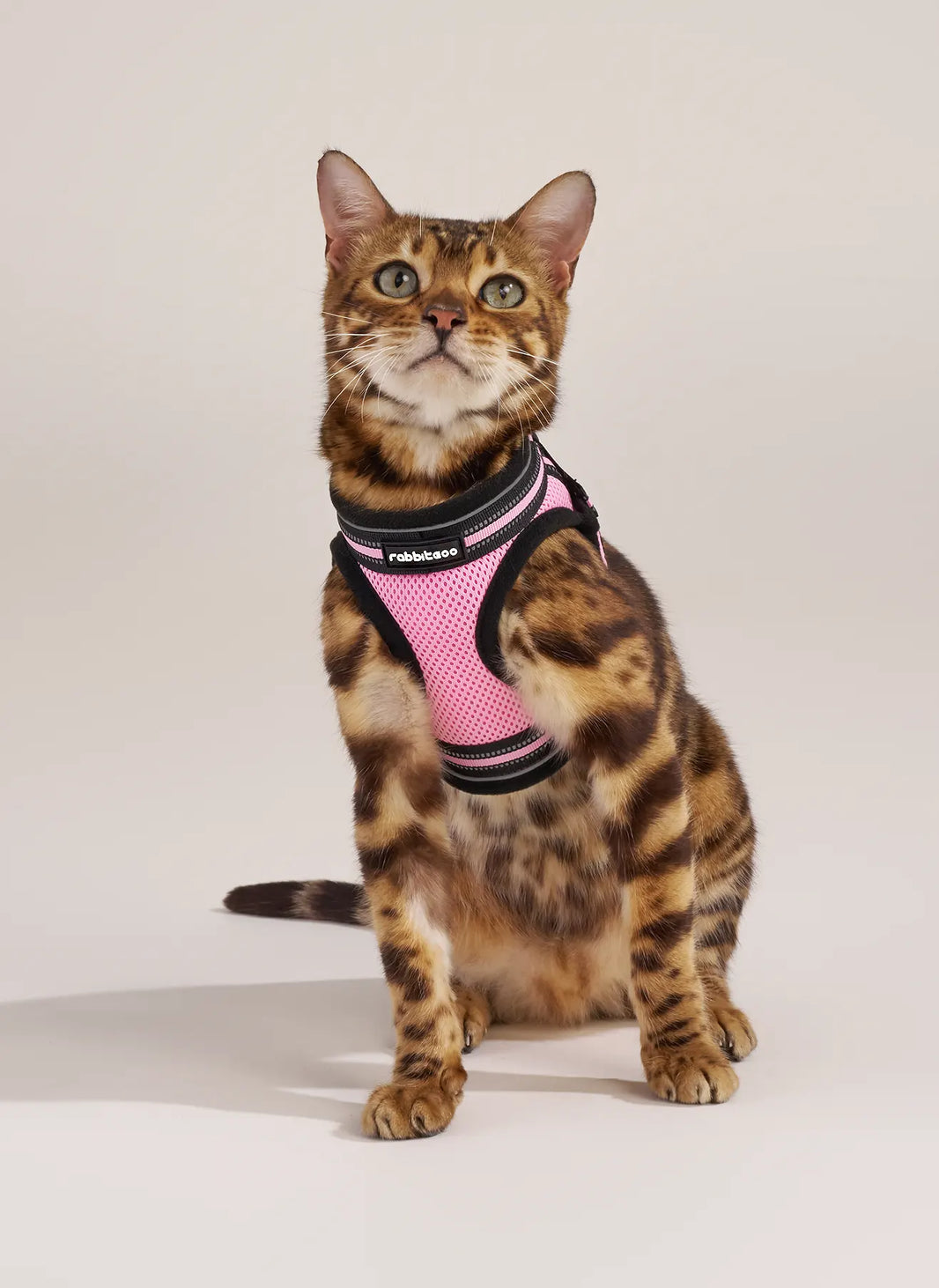 Rabbitgoo Escape Proof Cat Harness and Leash Set - Pink