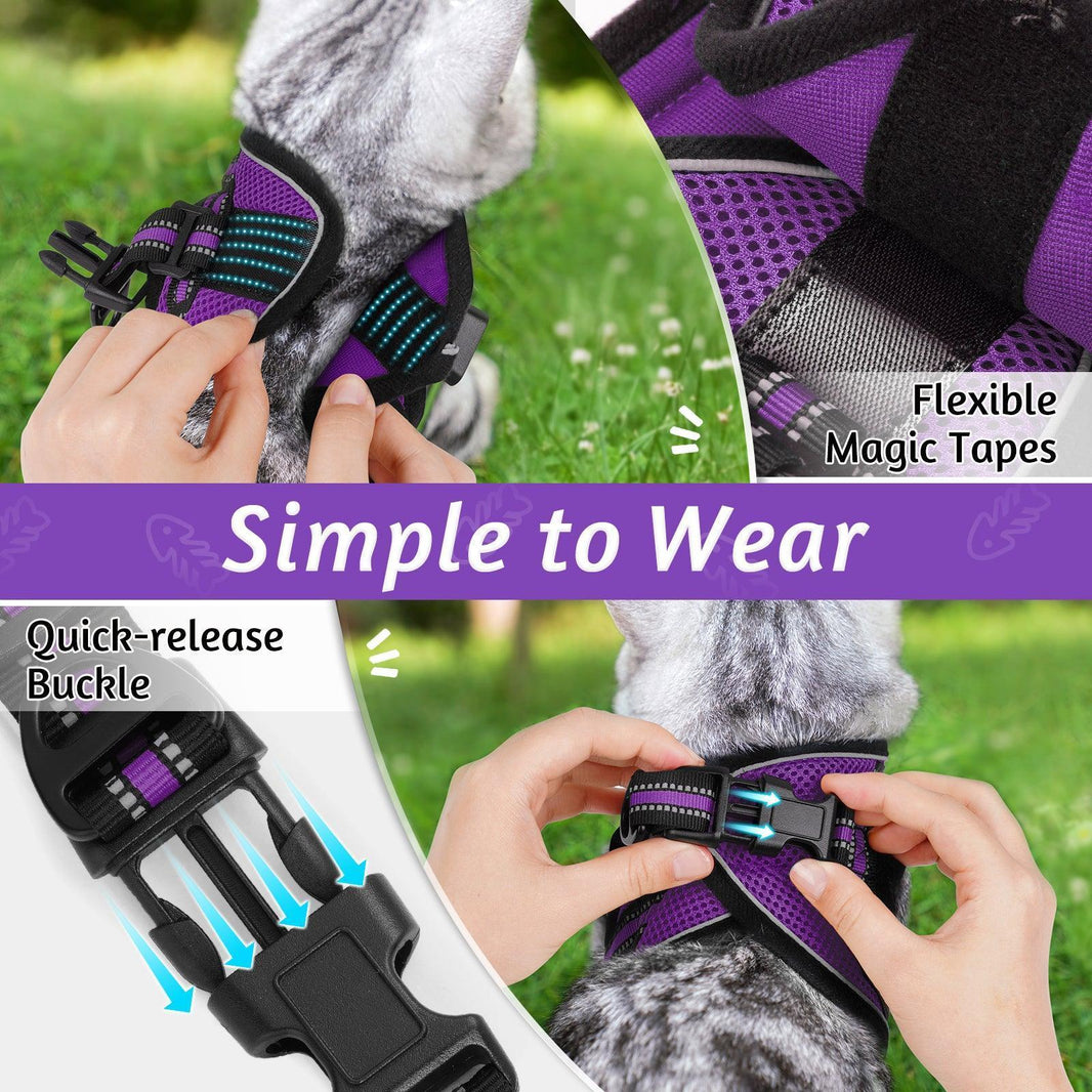 Rabbitgoo Escape Proof Cat Harness and Leash Set - Purple