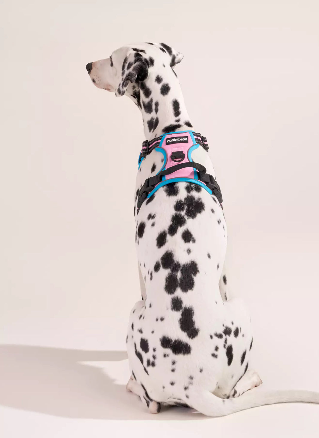 ColorPop Fit No Pull Dog Harness - Pink & Blue