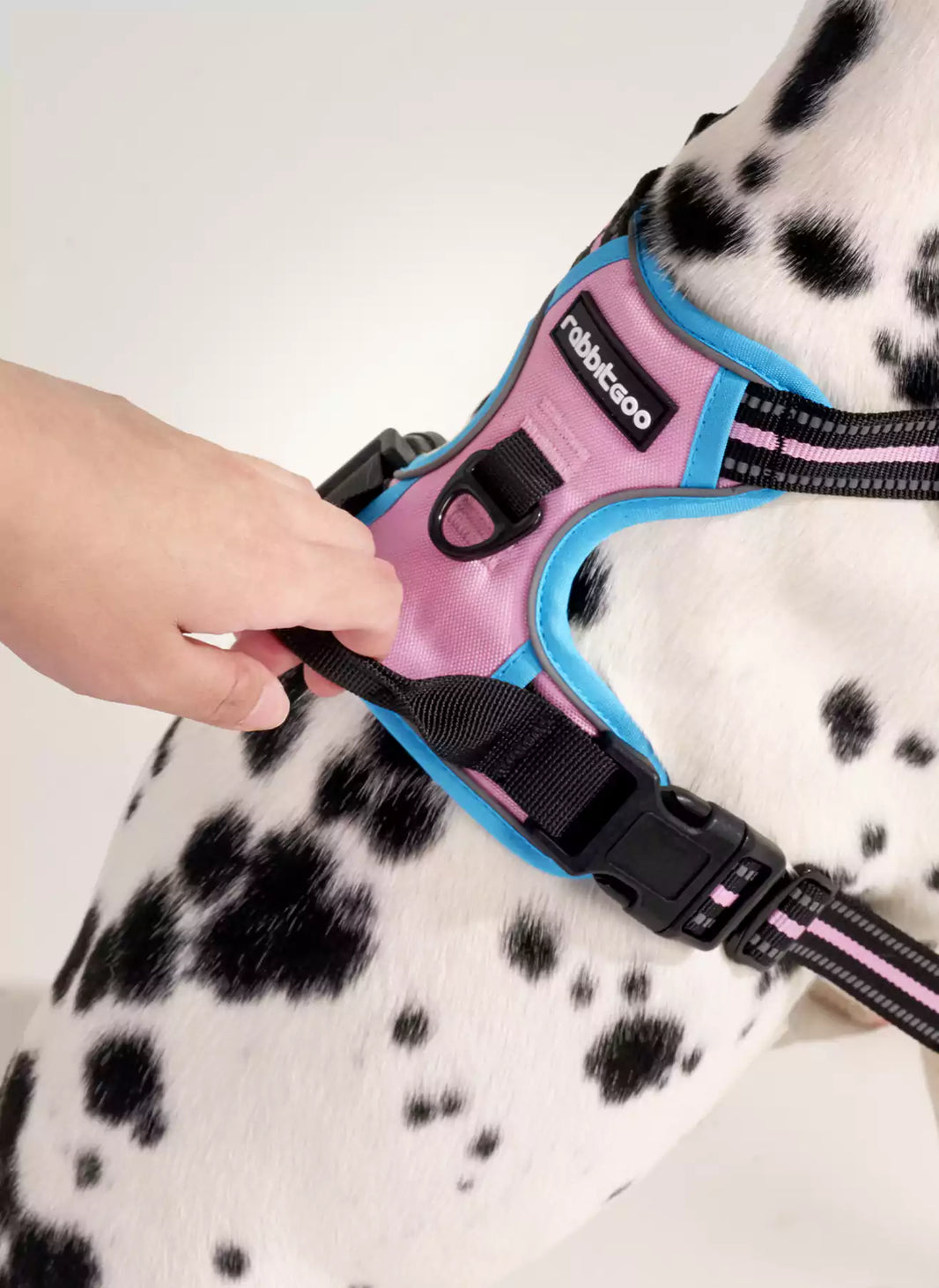 ColorPop Fit No Pull Dog Harness - Pink & Blue