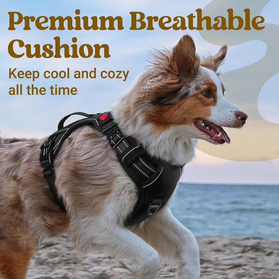 Uplift Pro Adjustable Dog Harness with Neck Buckle - Black