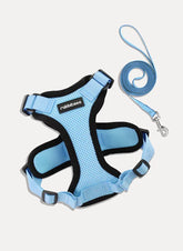 Rabbitgoo Classic Adjustable Cat Harness and Leash Set - Light Blue