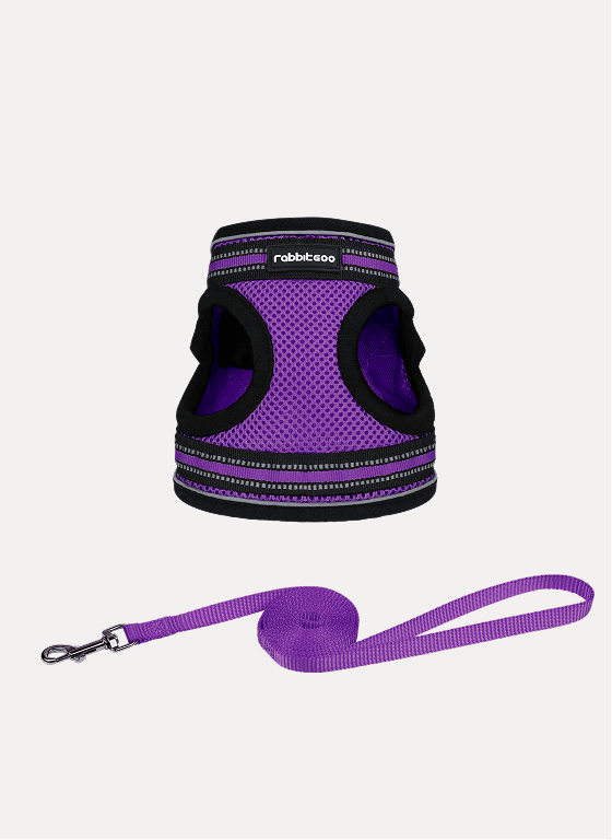 Rabbitgoo Escape Proof Cat Harness and Leash Set - Purple