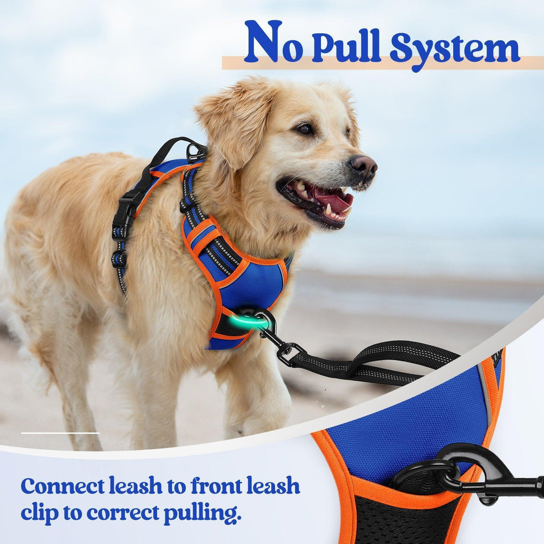 ColorPop Fit No Pull Dog Harness - Orange & Blue