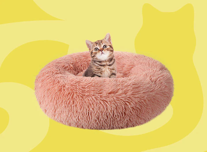Rabbitgoo Pet Bed
