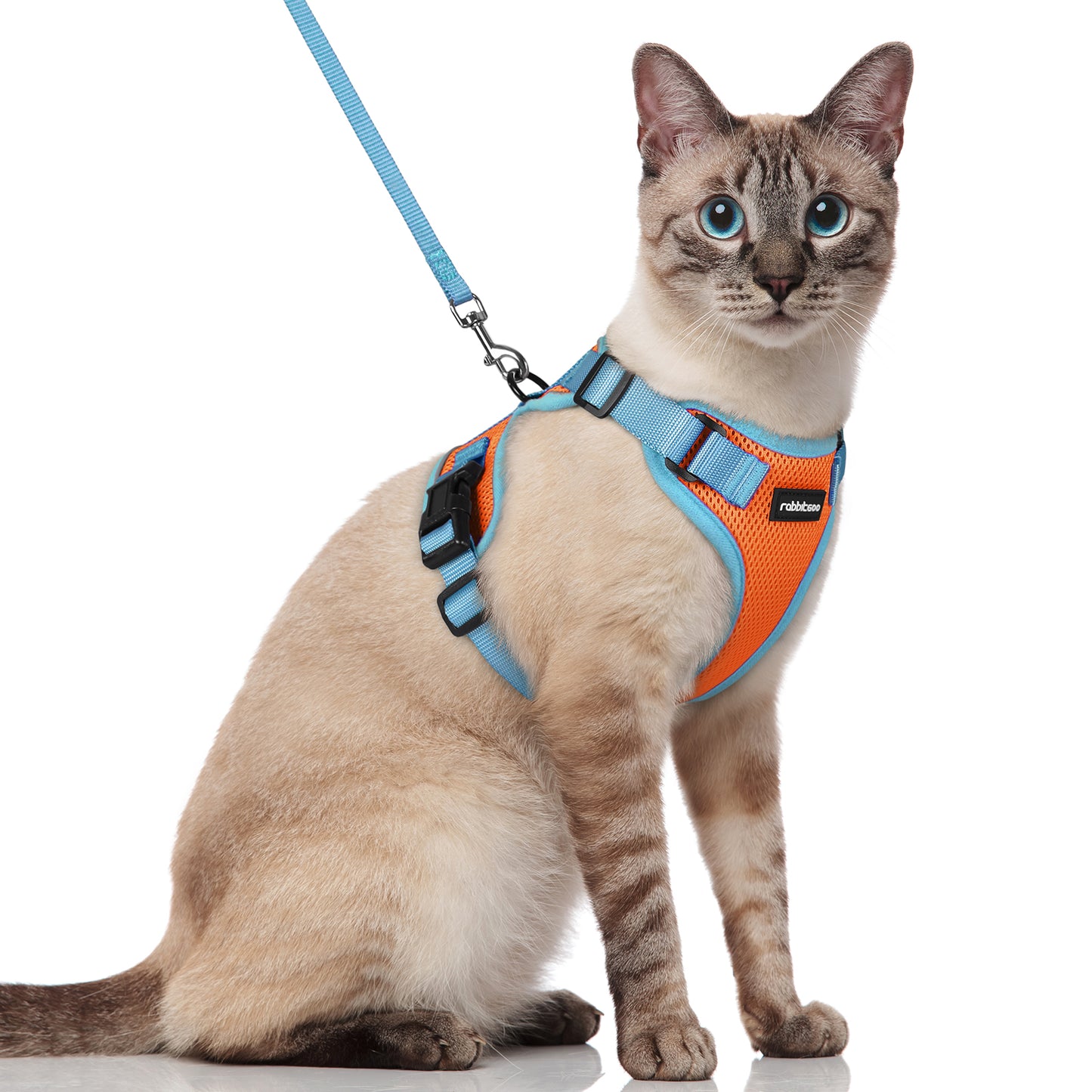 Rabbitgoo 2-tone Adjustable cat harness and leash set - New