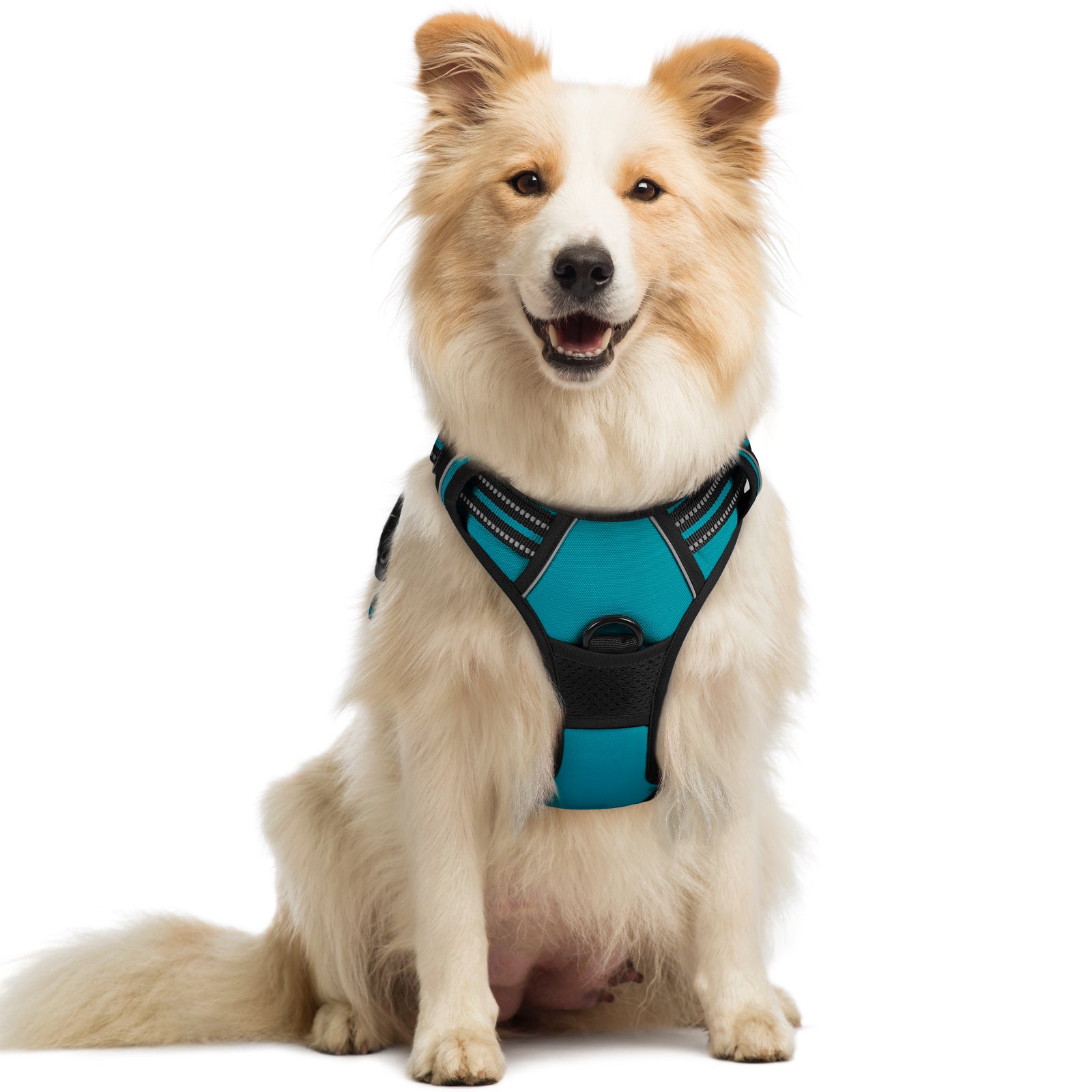 Rabbitgoo No Pull Dog Harness - Teal