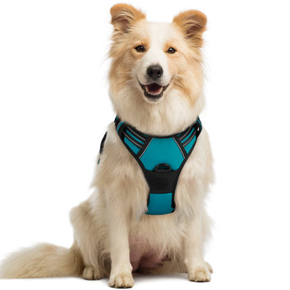 Rabbitgoo No Pull Dog Harness - Teal
