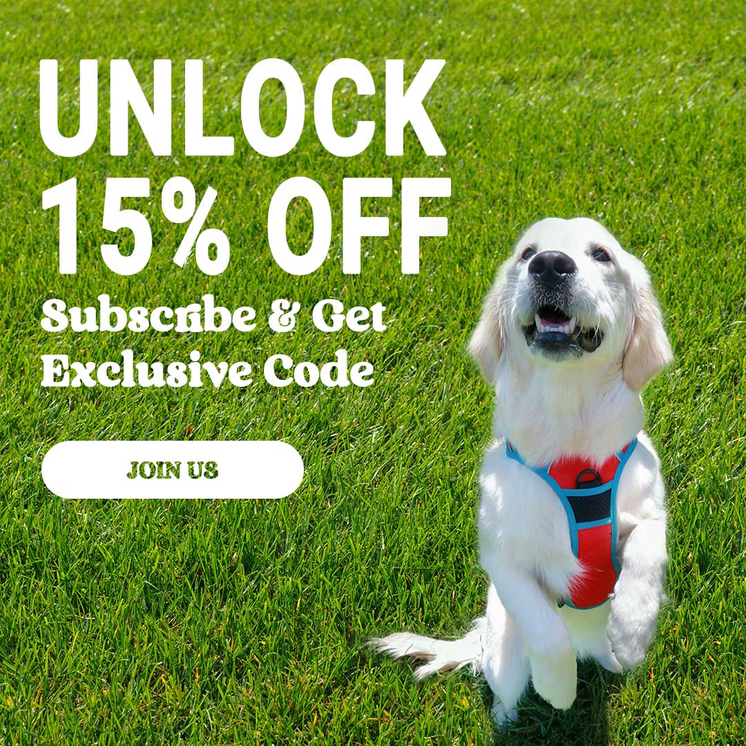 Unlock 15% OFF