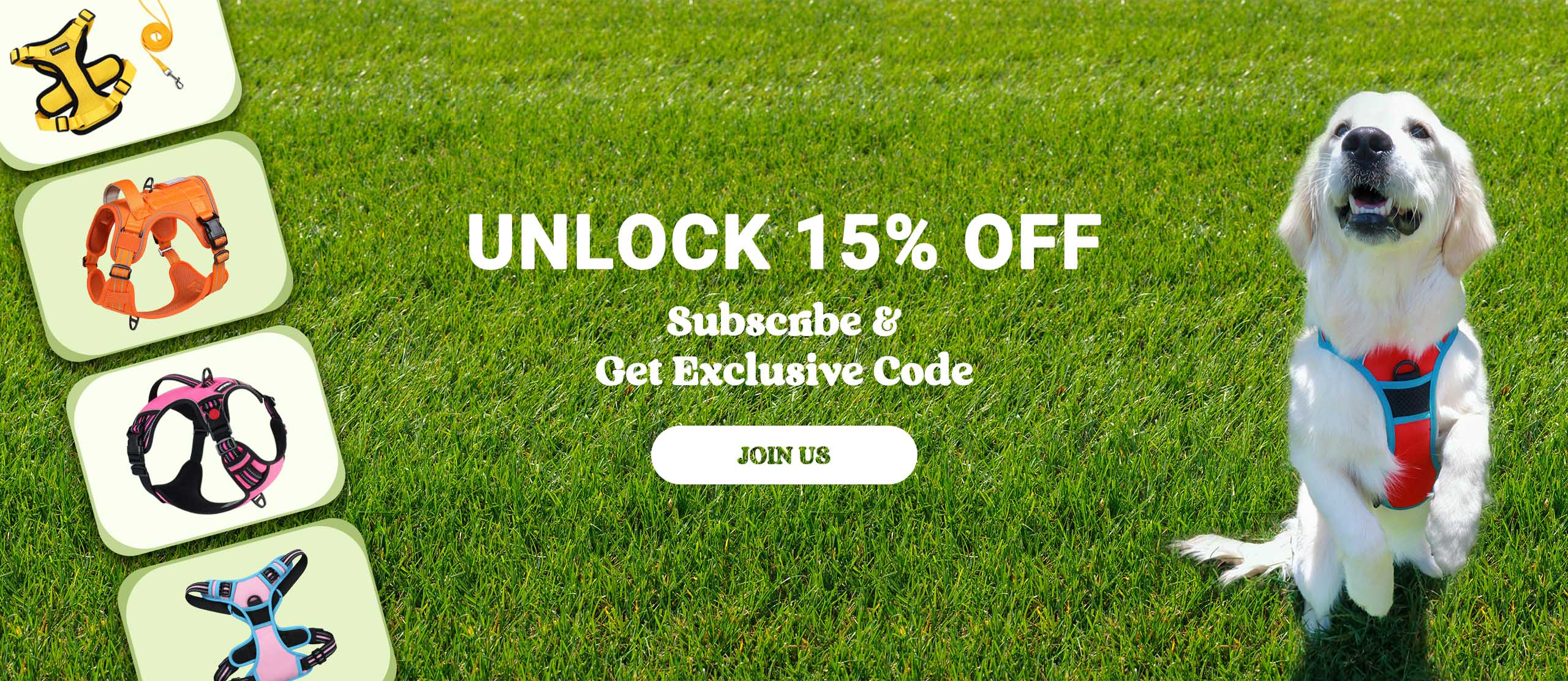 Unlock 15% OFF