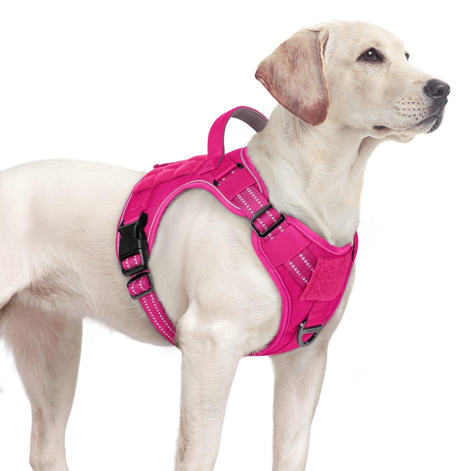 Colorful Escape Proof Tactical Dog Vest Harness Rabbitgoo