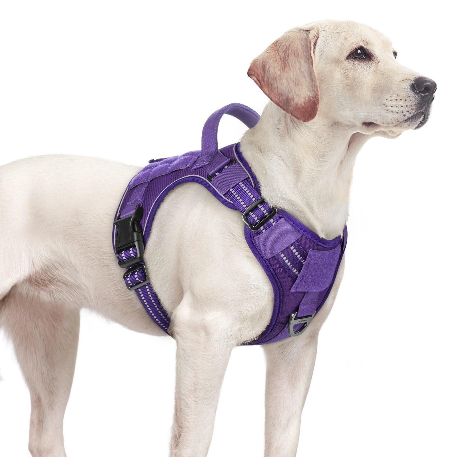 Colorful Escape Proof Tactical Dog Vest Harness - Purple 