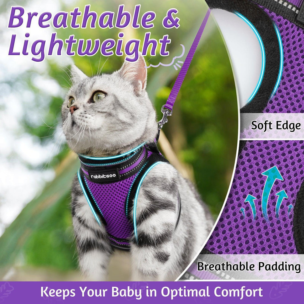 Rabbitgoo Escape Proof Cat Harness and Leash Set - Purple