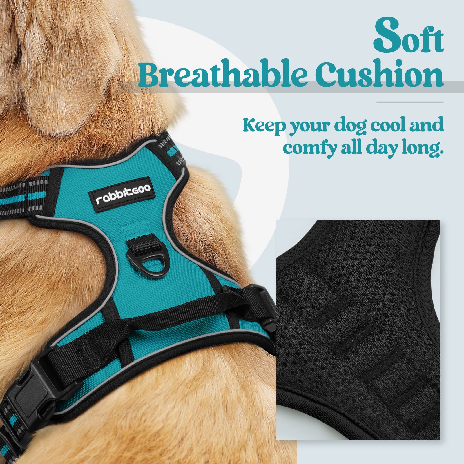 Rabbitgoo No Pull Dog Harness - Teal