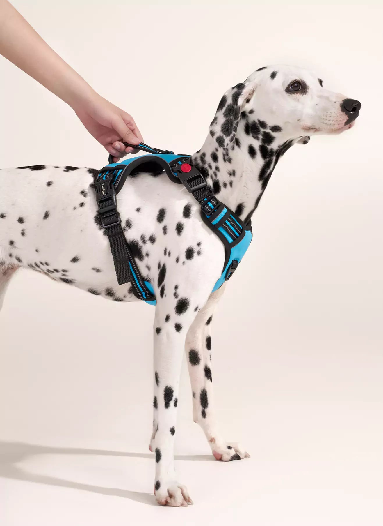 Uplift Pro Adjustable Dog Harness with Neck Buckle - Blue
