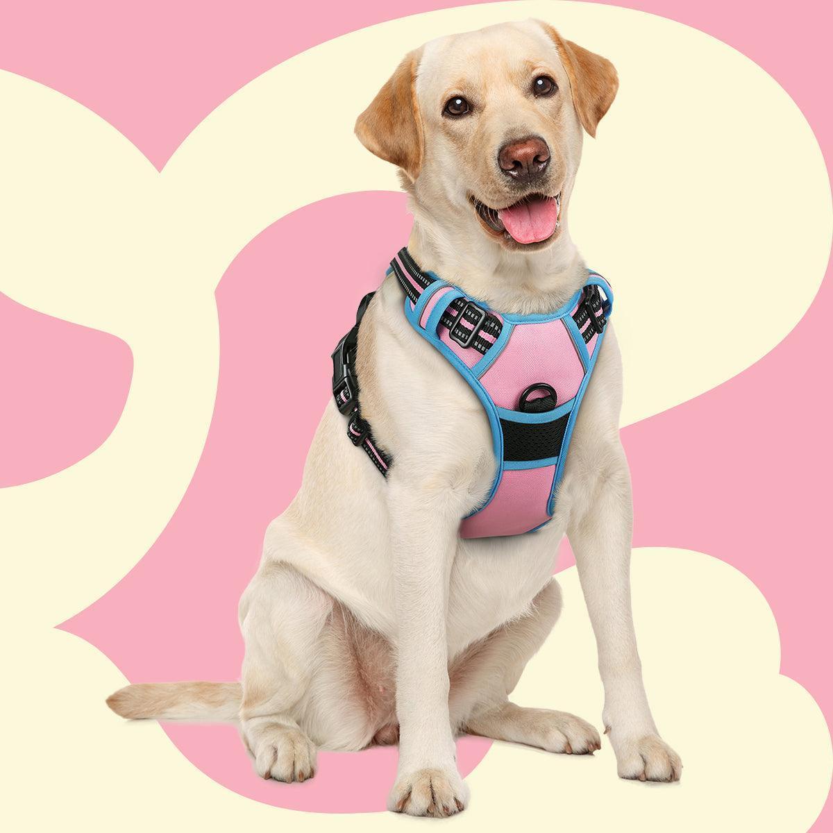 Rabbitgoo Multicolored No Pull Dog Harness - Pink & Blue