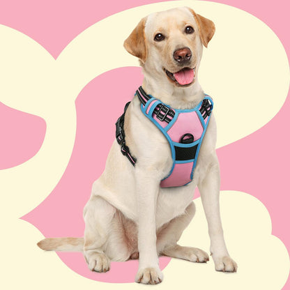 Rabbitgoo Multicolored No Pull Dog Harness - pink & blue