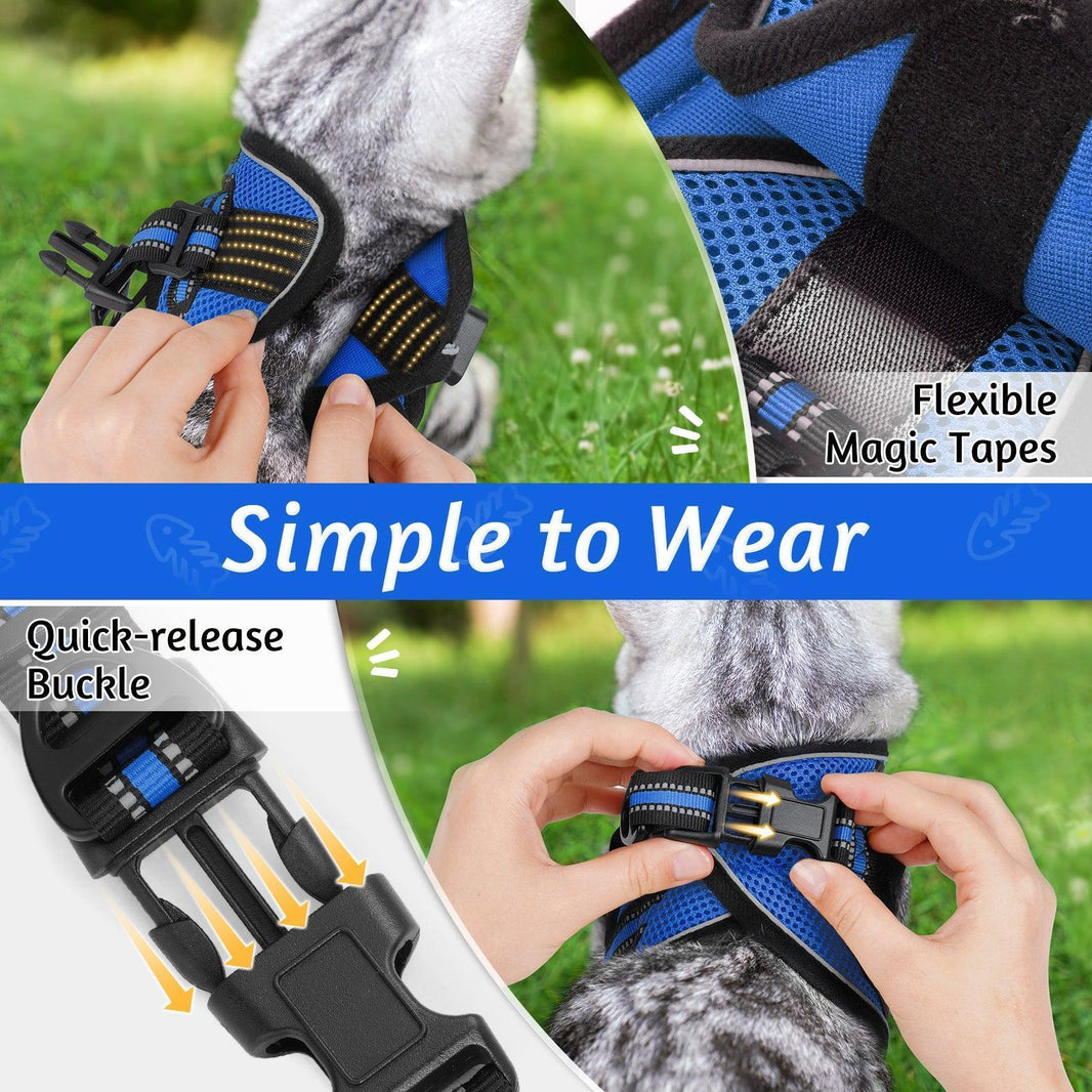 Rabbitgoo Escape Proof Cat Harness and Leash Set - Blue