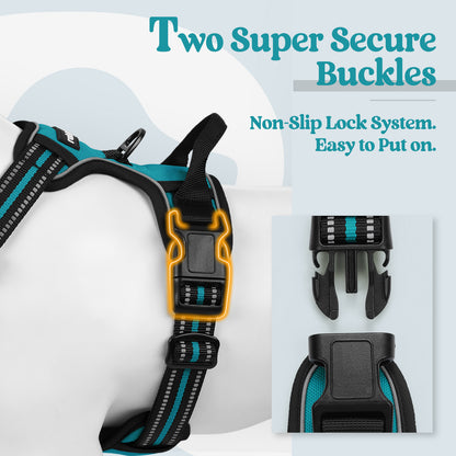 Rabbitgoo No Pull Dog Harness - Teal
