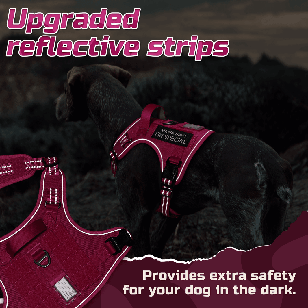 ColorPop Escape Proof Tactical Dog Harness - Rose Red 