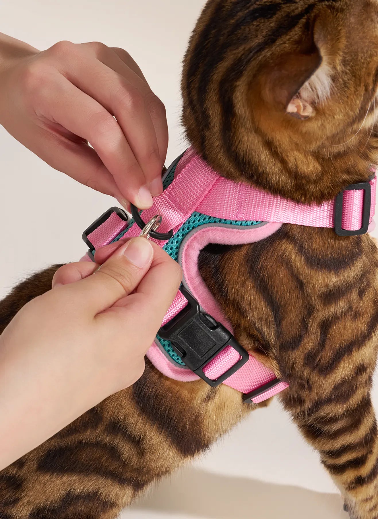 Rabbitgoo Fusion Adjustable cat harness and leash set - Green & Pink 