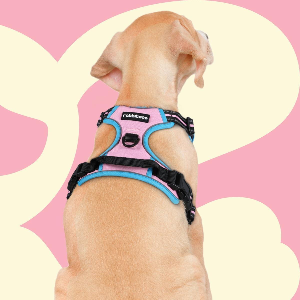 Rabbitgoo Multicolored No Pull Dog Harness - Pink & Blue