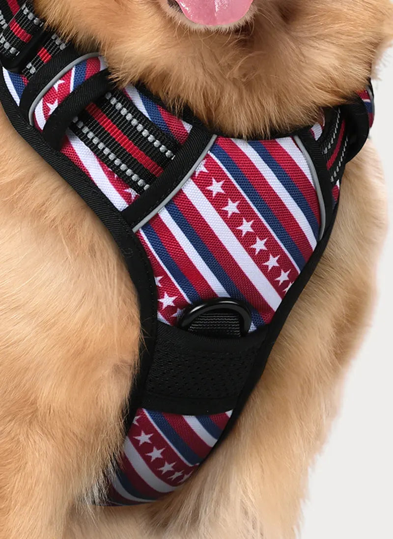 Urban Grid No Pull Dog Harness - Red Stripe