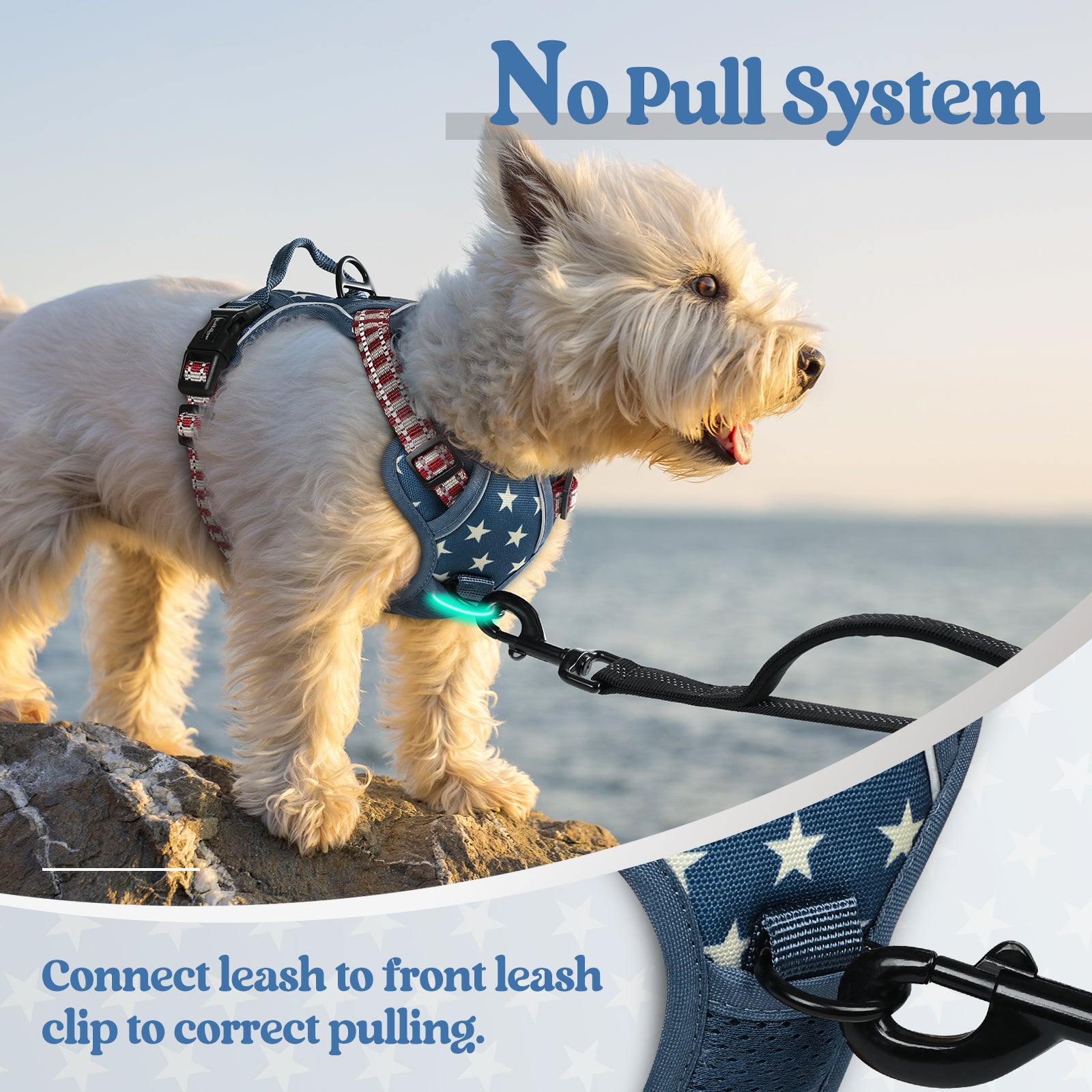 Urban Grid No Pull Dog Harness - Blue Star