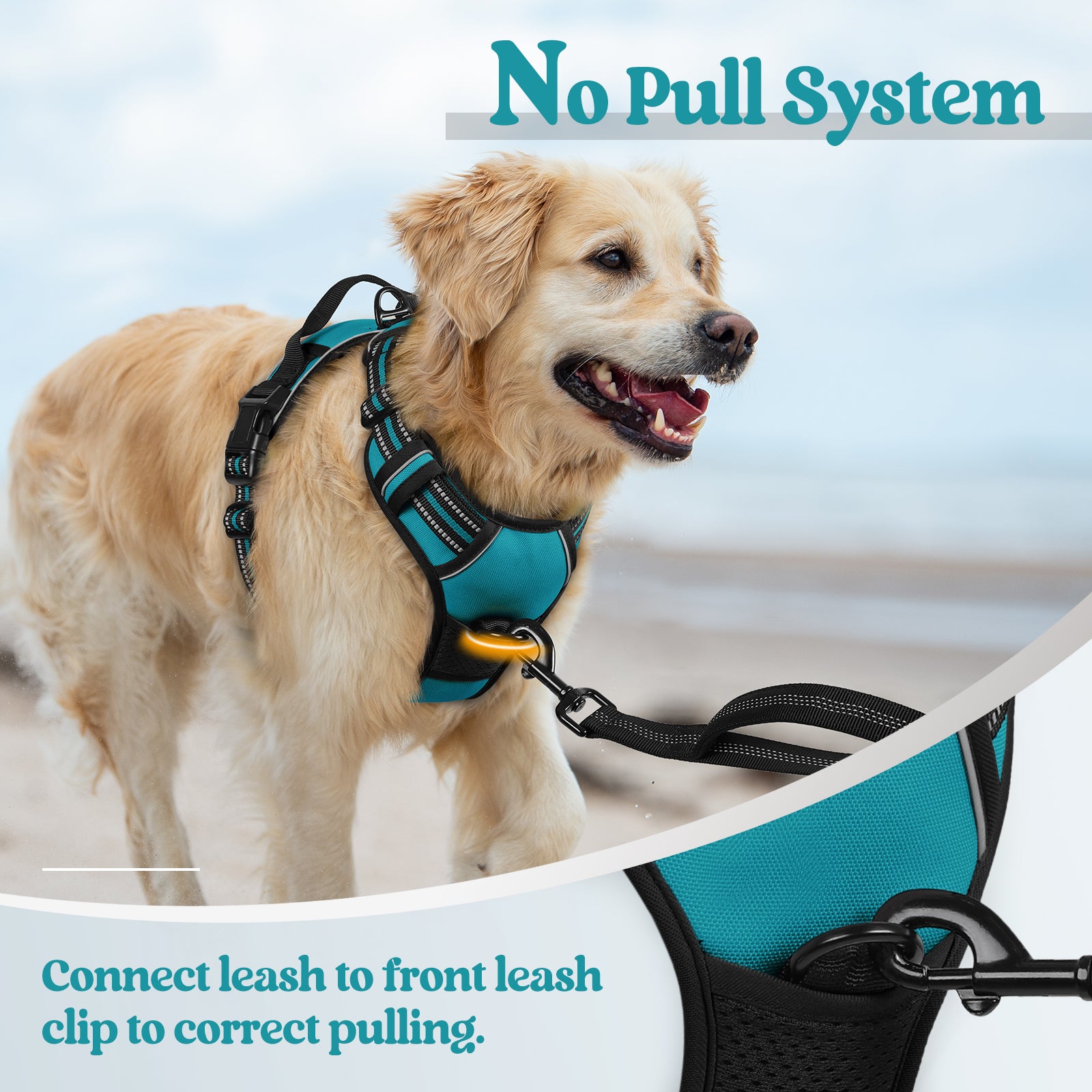 Rabbitgoo No Pull Dog Harness - Teal