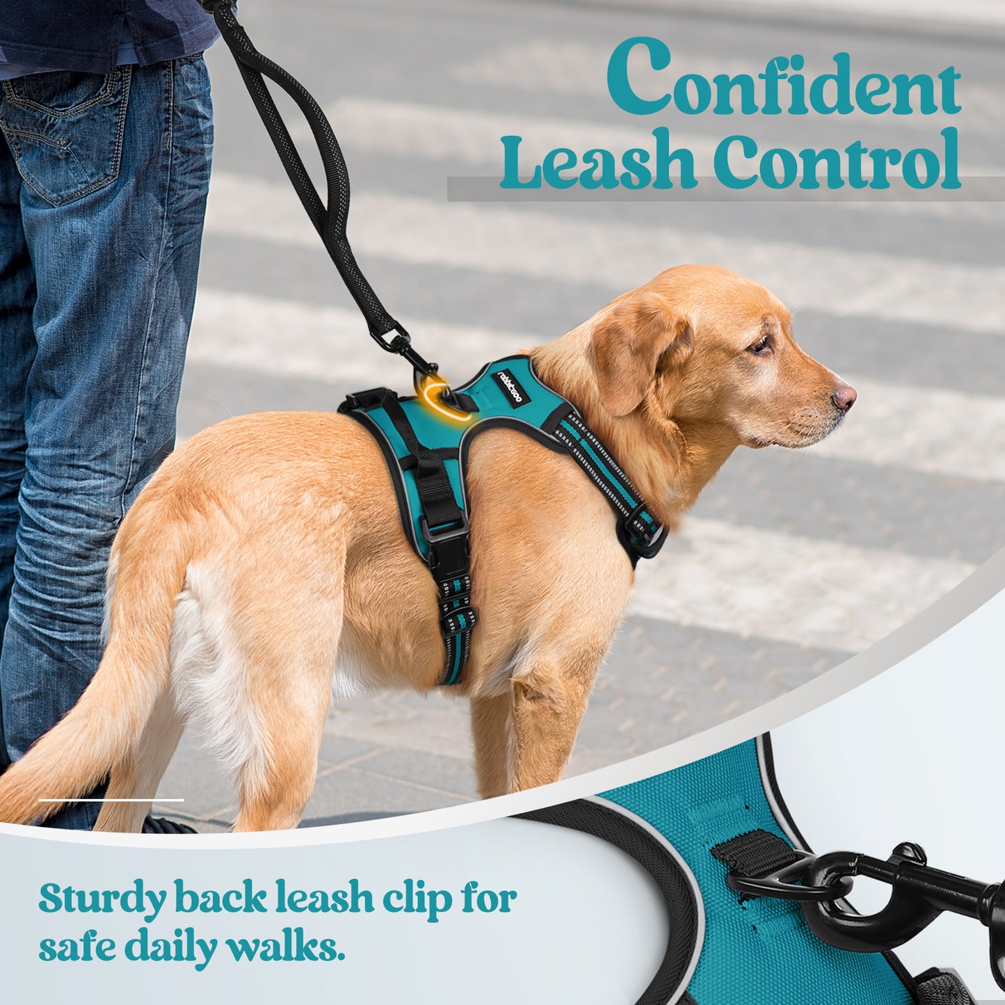 Rabbitgoo No Pull Dog Harness - Teal