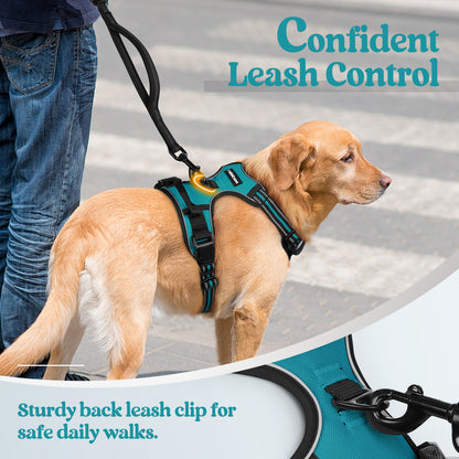 Rabbitgoo No Pull Dog Harness - Teal