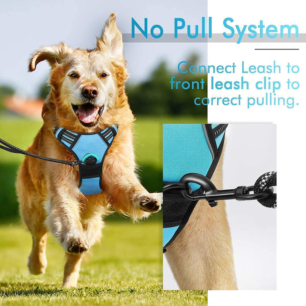 Classic Fit No Pull Dog Harness - Blue