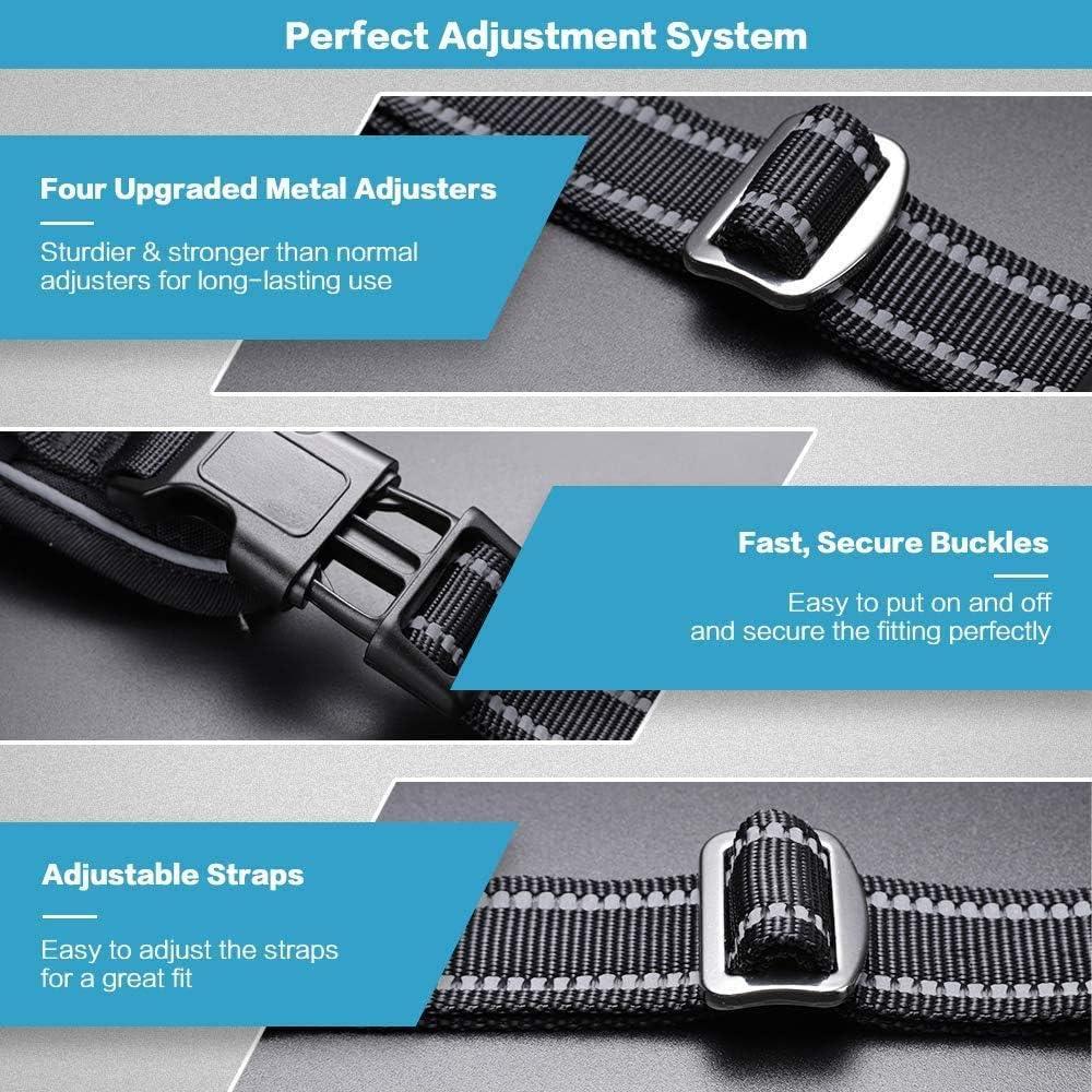 No Pull Dog Harness and Leash Set - Black / S