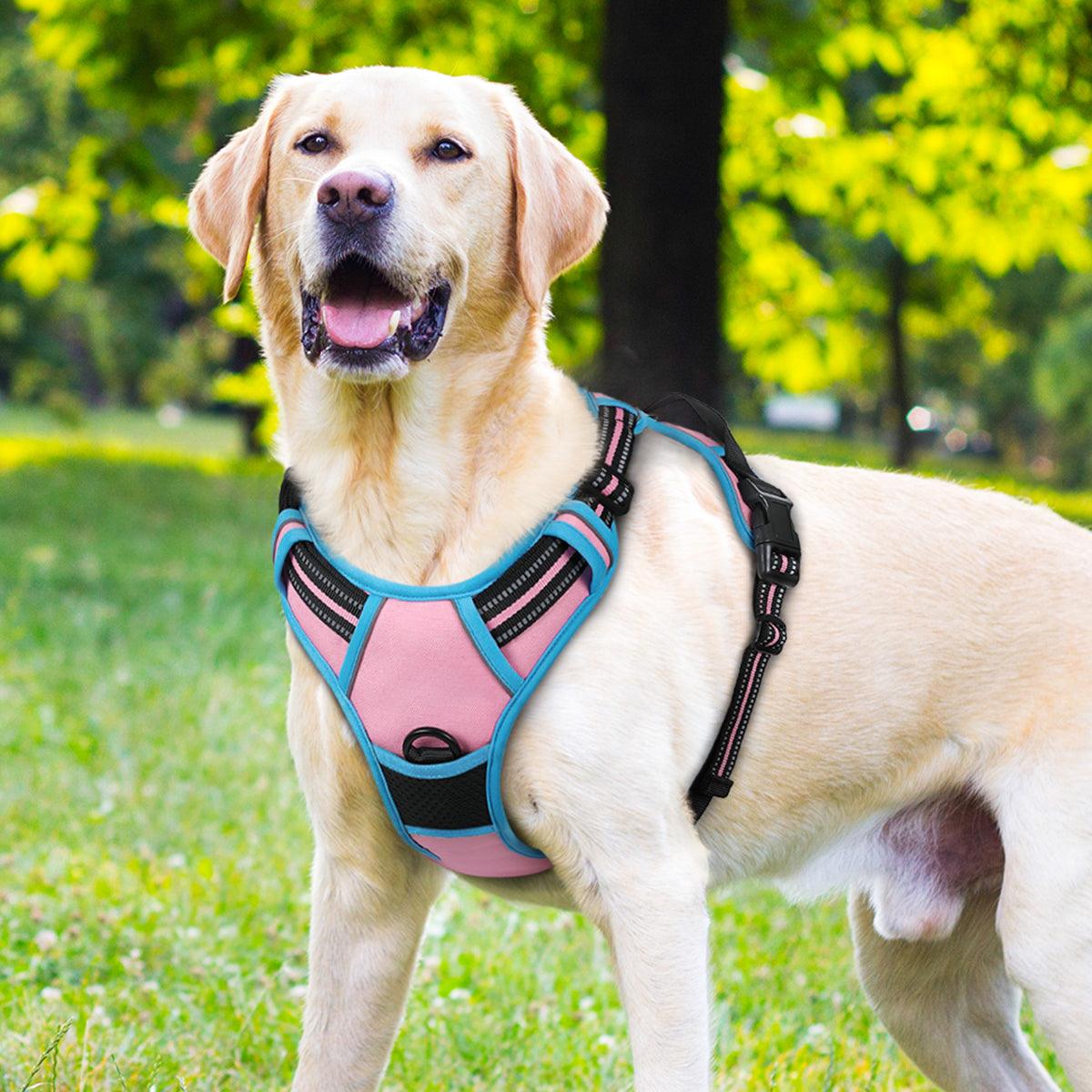 Rabbitgoo Multicolored No Pull Dog Harness - Pink & Blue / XS