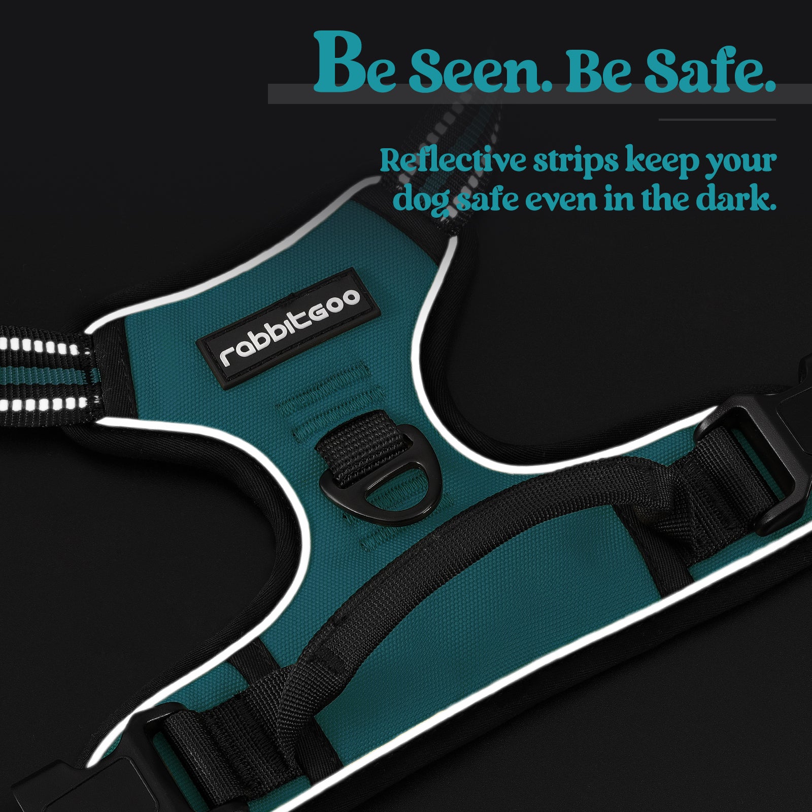 Rabbitgoo No Pull Dog Harness - Teal
