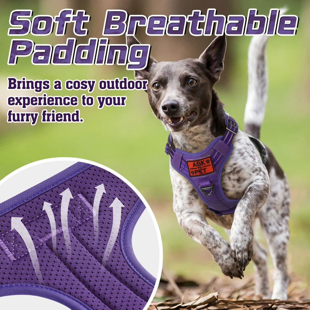 ColorPop Escape Proof Tactical Dog Harness - Purple