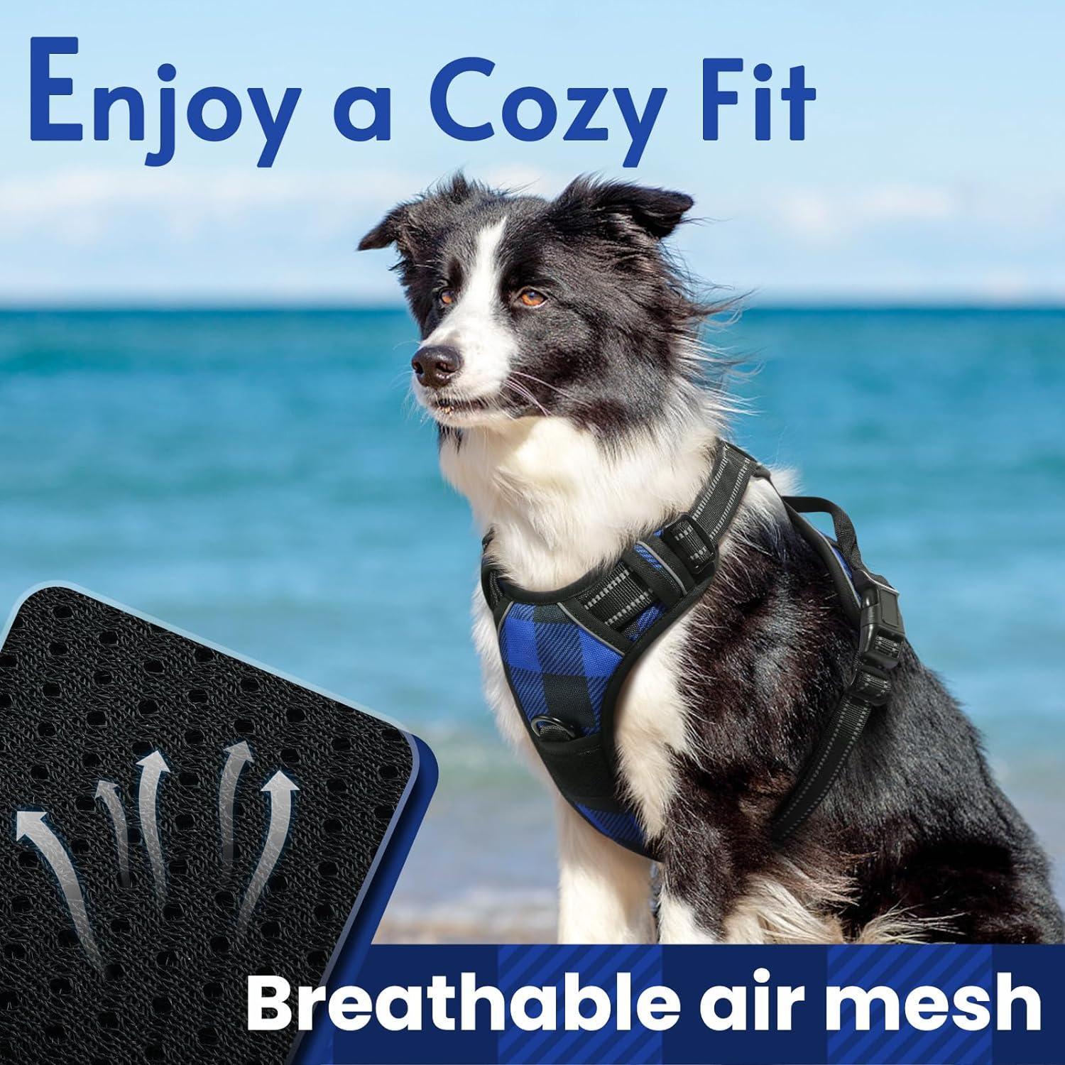 Amazon Rabbitgoo Dog Harness Website Amazon Dog Harnesses And