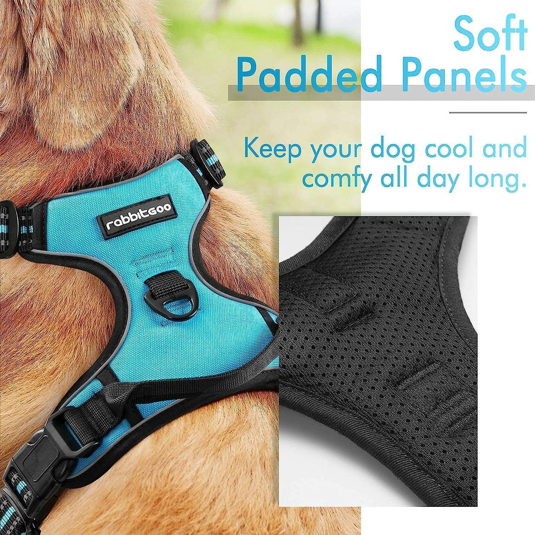 Classic Fit No Pull Dog Harness - Blue