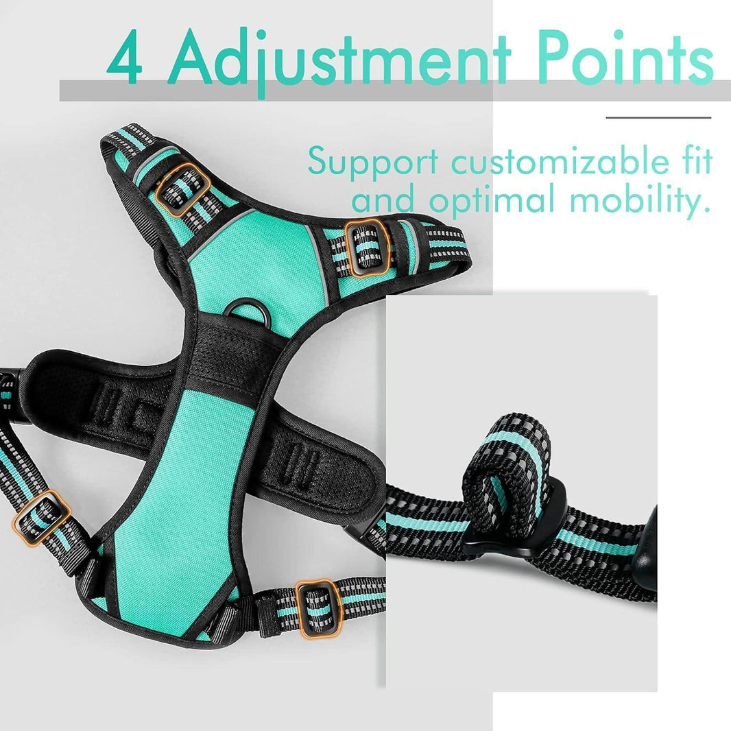 Classic Fit No Pull Dog Harness - Turquoise