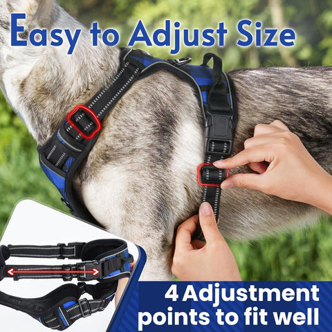 Rabbitgoo Plaid Dog Harness for Large Dogs - Blue & Black / S