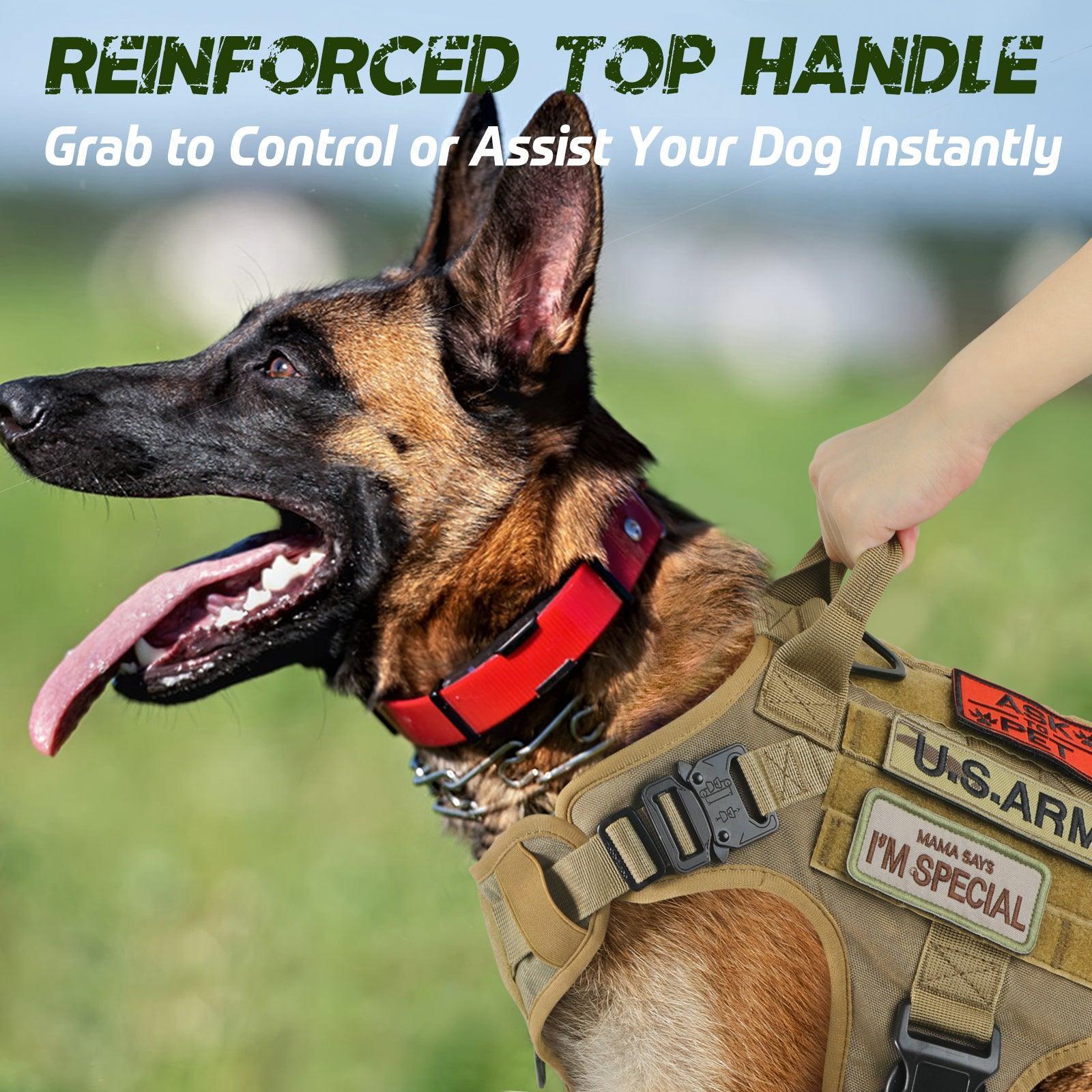 Belgian malinois outlet military harness