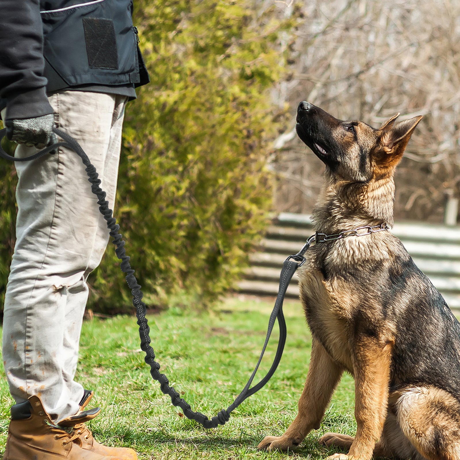 Rabbitgoo Dog Leash with 2 Padded Traffic Control Handles Rabbitgoo