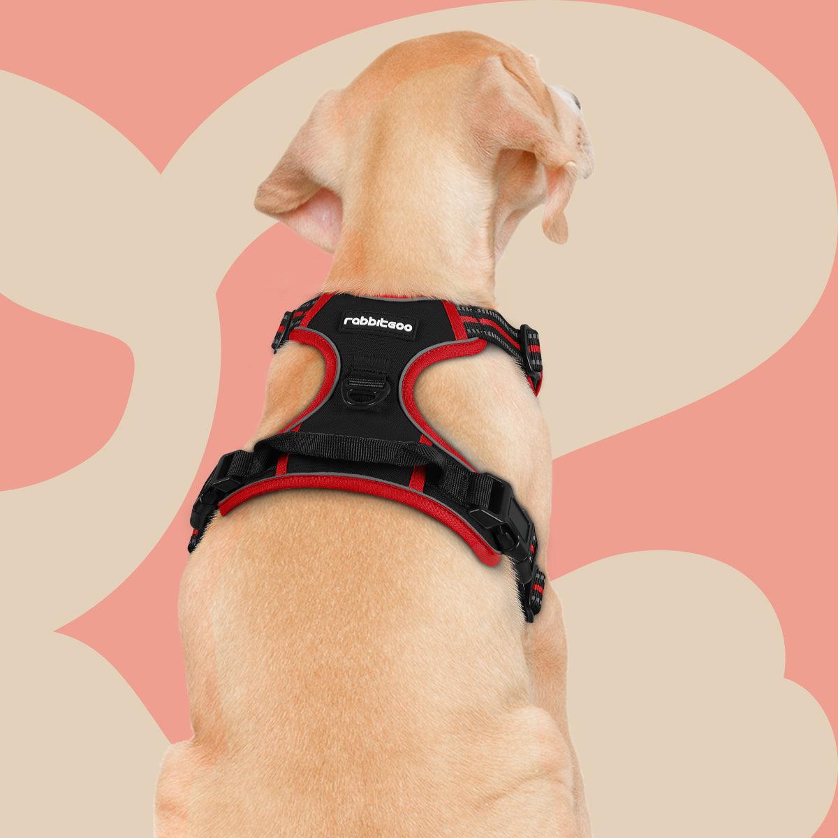 Rabbitgoo Multicolored No Pull Dog Harness - black & red