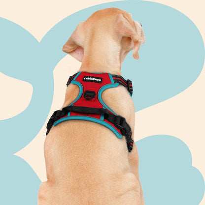 Rabbitgoo Multicolored No Pull Dog Harness - Red & Teal 