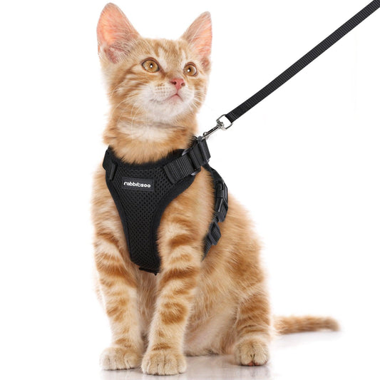 Rabbitgoo Adjustable Cat Harness and Leash Set - Rabbitgoo