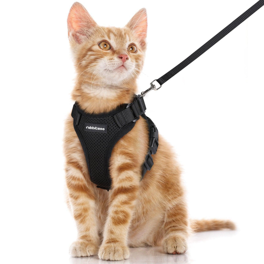 Rabbitgoo Classic Adjustable Cat Harness and Leash Set - Black
