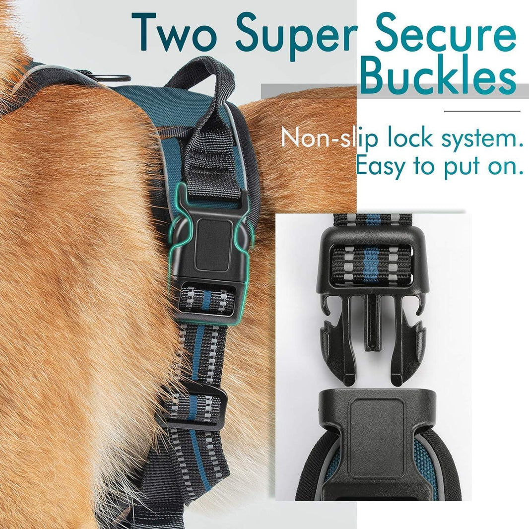 Classic Fit No Pull Dog Harness - Blue Coral