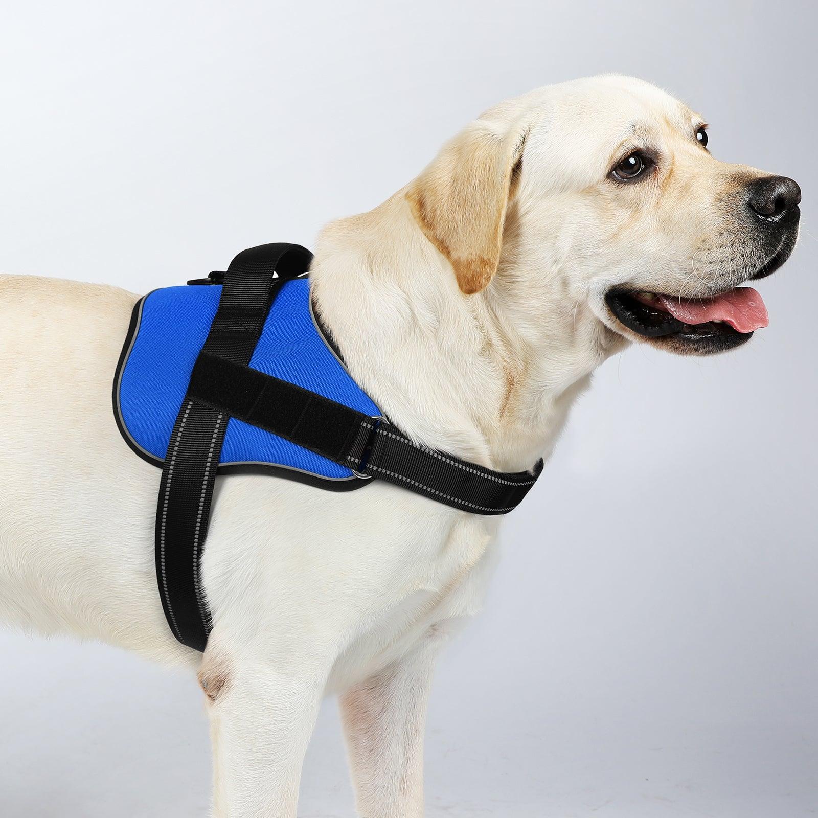 Easy Walk Dog Harness with One Buckle - Blue